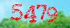 Capcha code
